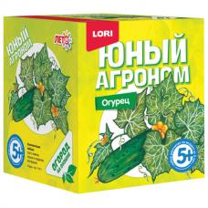 Набор для выращивания растений ЮНЫЙ АГРОНОМ 'Огурец', горшок, грунт, семена, LORI, Р-011
