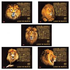 Альбом для рисования, А4, 40 л., 3D-фольга и матовая ламинация, HATBER 'King Lion', 40А4лофВ, A261712
