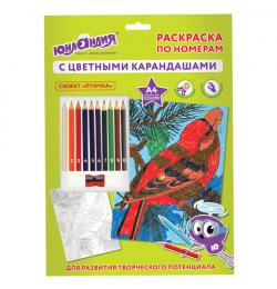 Раскраска по номерам А4, ЮНЛАНДИЯ 'ПТИЧКА', С ЦВЕТНЫМИ КАРАНДАШАМИ, на картоне, 661607