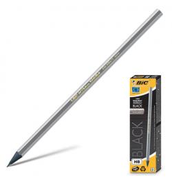 Карандаш чернографитный BIC, 1 шт., 'Evolution Black', HB, без резинки, пластиковый, корпус серебристый, заточенный, 896017