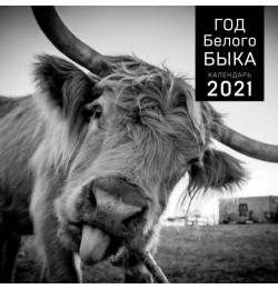 Год белого быка. Календарь настенный на 2021 год (300x300 мм)