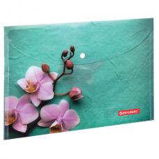 Папка-конверт с кнопкой BRAUBERG "Флора", А4, 160 мкм, до 100 листов, цветная печать, 228031
