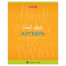Тетрадь предметная "ПАЛИТРА ЗНАНИЙ" 36 л., обложка мелованная бумага, АЛГЕБРА, клетка, BRAUBERG, 403499