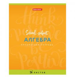 Тетрадь предметная "ПАЛИТРА ЗНАНИЙ" 36 л., обложка мелованная бумага, АЛГЕБРА, клетка, BRAUBERG, 403499